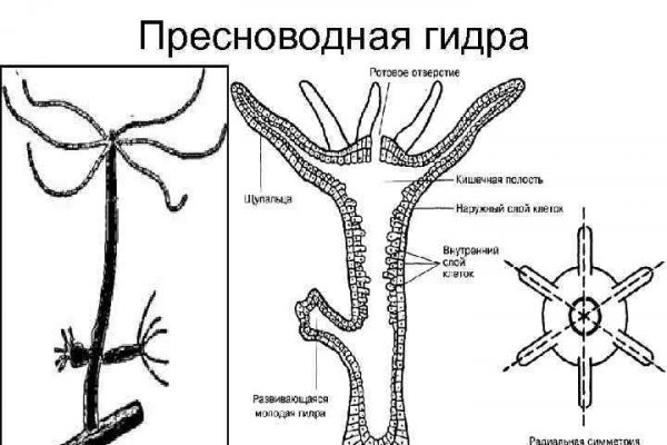 Оригинальная ссылка на кракен