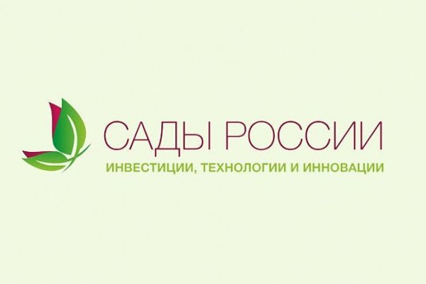 Ссылка на кракен свежая