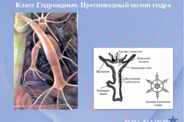 Кракен новое зеркало